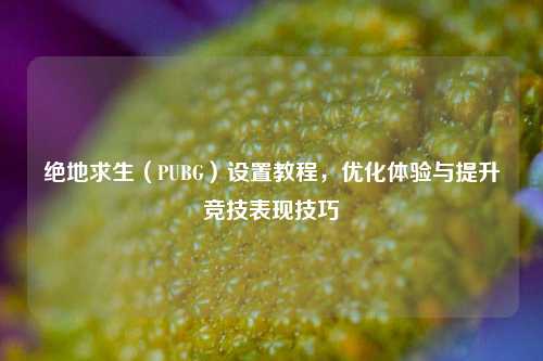 绝地求生（PUBG）设置教程，优化体验与提升竞技表现技巧