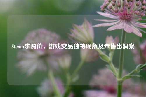 Steam求购价,游戏交易独特现象及未售出洞察