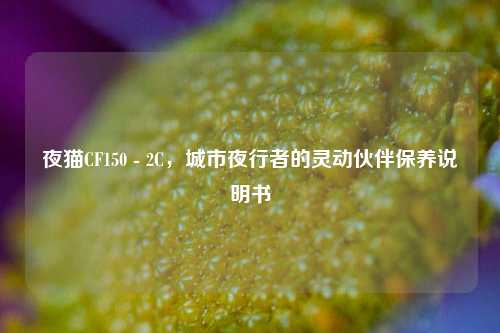 夜猫CF150 - 2C,城市夜行者的灵动伙伴保养说明书