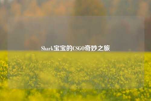 Shark宝宝的CSGO奇妙之旅