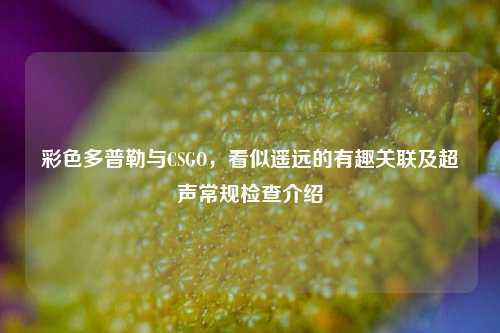 彩色多普勒与CSGO，看似遥远的有趣关联及超声常规检查介绍