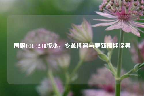国服LOL 12.10版本,变革机遇与更新周期探寻