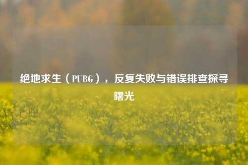 绝地求生(PUBG),反复失败与错误排查探寻曙光