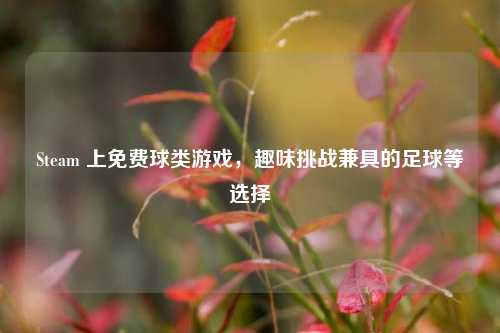 Steam 上免费球类游戏,趣味挑战兼具的足球等选择