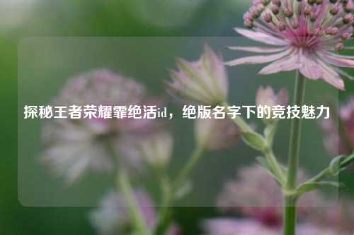 探秘王者荣耀霏绝活id,绝版名字下的竞技魅力