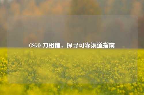 CSGO 刀租借，探寻可靠渠道指南