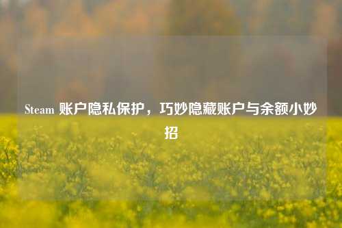 Steam 账户隐私保护,巧妙隐藏账户与余额小妙招