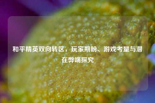 和平精英双向转区,玩家期盼、游戏考量与潜在弊端探究