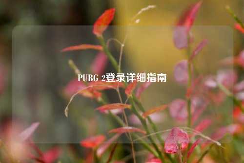 PUBG 2登录详细指南