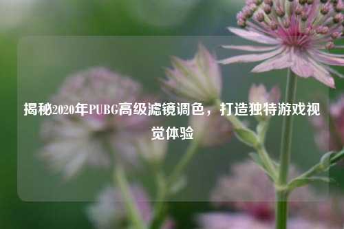 揭秘2020年PUBG高级滤镜调色,打造独特游戏视觉体验