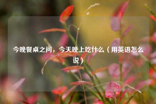 今晚餐桌之问,今天晚上吃什么(用英语怎么说)