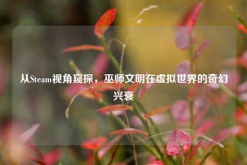 从Steam视角窥探,巫师文明在虚拟世界的奇幻兴衰