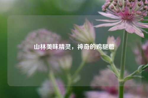 山林美味精灵,神奇的鸡腿蘑
