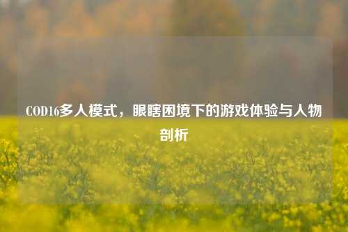COD16多人模式,眼瞎困境下的游戏体验与人物剖析