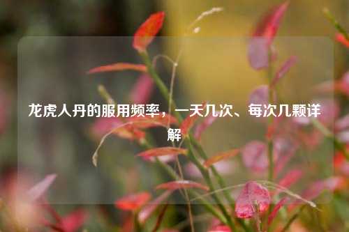 龙虎人丹的服用频率，一天几次、每次几颗详解