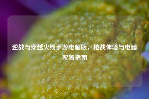 逆战与穿越火线手游电脑版，枪战体验与电脑配置指南