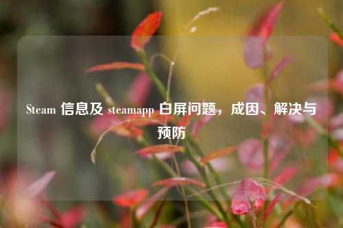 Steam 信息及 steamapp 白屏问题，成因、解决与预防