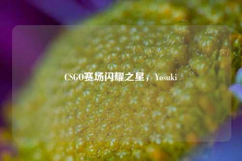 CSGO赛场闪耀之星，Yosuki