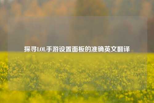 探寻LOL手游设置面板的准确英文翻译