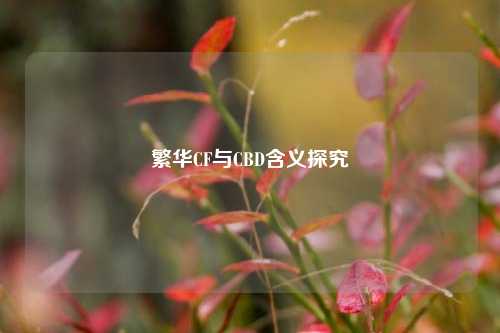 繁华CF与CBD含义探究