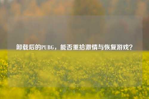 卸载后的PUBG，能否重拾***与恢复游戏？