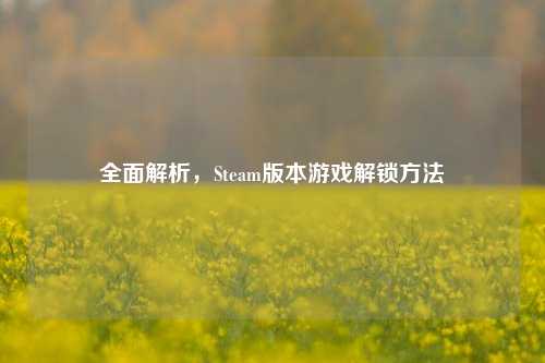 全面解析，Steam版本游戏解锁     