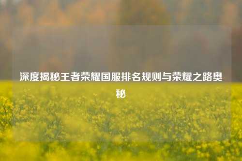 深度揭秘王者荣耀国服排名规则与荣耀之路奥秘
