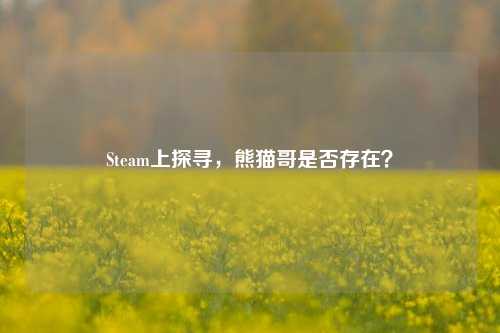 Steam上探寻,熊猫哥是否存在?