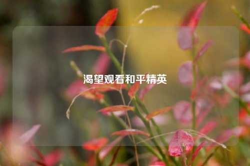 渴望观看和平精英