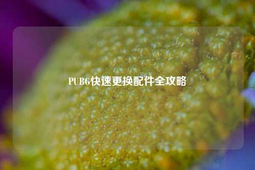 PUBG快速更换配件全攻略