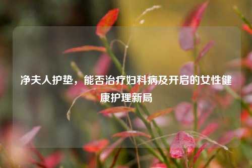 净夫人护垫，能否治疗妇科病及开启的女性健康护理新局