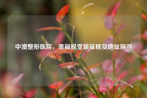 中澳整形医院，美丽蜕变新征程及地址探寻