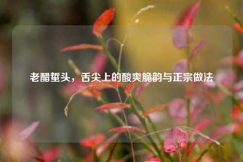 老醋蜇头，舌尖上的酸爽脆韵与正宗做法