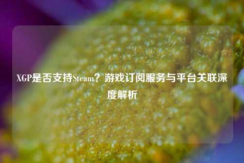 XGP是否支持Steam？游戏订阅服务与平台关联深度解析