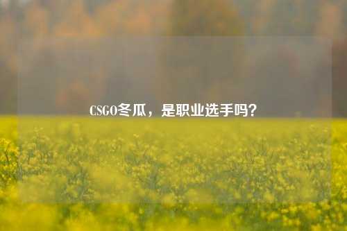 CSGO冬瓜,是职业选手吗?