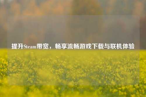 提升Steam带宽,畅享流畅游戏下载与联机体验