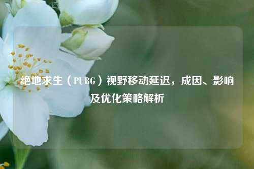 绝地求生(PUBG)视野移动延迟,成因、影响及优化策略解析