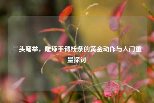 二头弯举，雕琢手臂线条的黄金动作与入门重量探讨