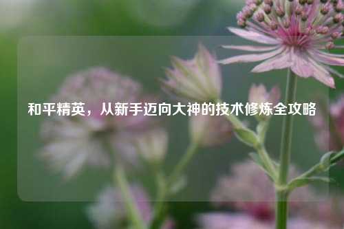和平精英,从新手迈向大神的技术修炼全攻略