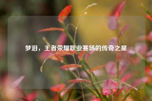 梦泪，王者荣耀职业赛场的传奇之星