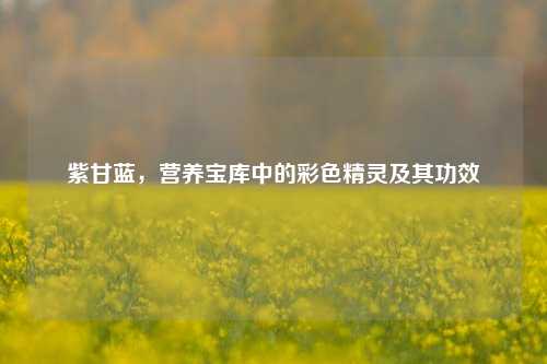 紫甘蓝，营养宝库中的彩色精灵及其功效
