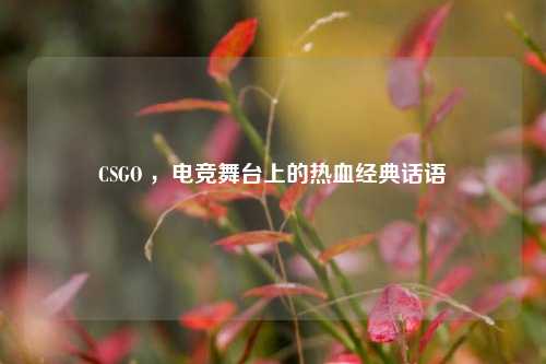 CSGO ,电竞舞台上的热血经典话语