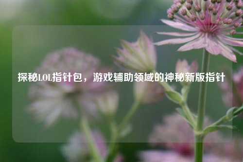 探秘LOL指针包，游戏辅助领域的神秘新版指针