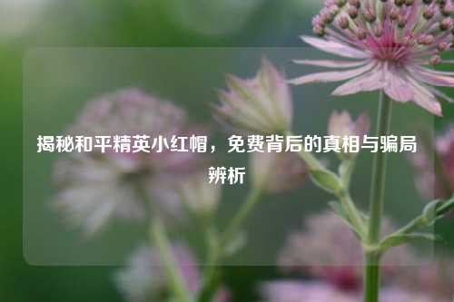 揭秘和平精英小红帽,免费背后的真相与骗局辨析