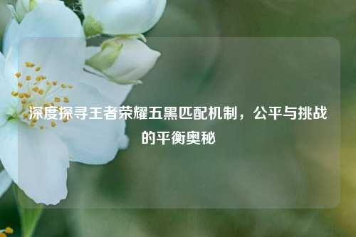 深度探寻王者荣耀五黑匹配机制,公平与挑战的平衡奥秘
