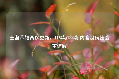 王者荣耀两次更新,1123与1222新内容及玩法变革详解