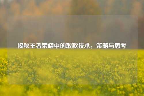 揭秘王者荣耀中的取款技术,策略与思考