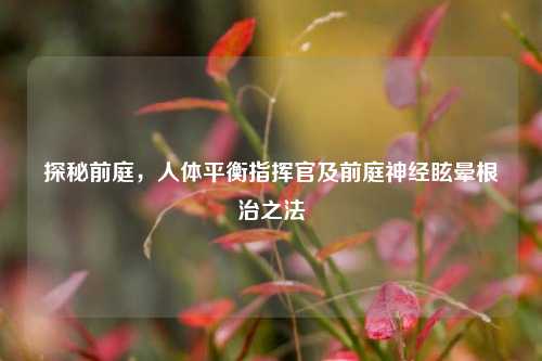 探秘前庭，人体平衡指挥官及前庭神经眩晕根治之法