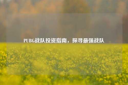 PUBG战队投资指南,探寻最强战队