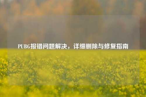 PUBG报错问题解决,详细删除与修复指南
